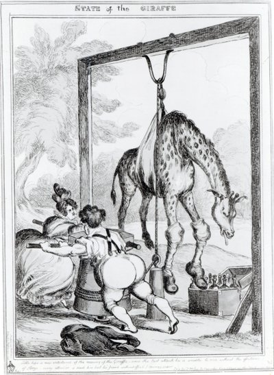 Stato della giraffa, 1829 da William Heath