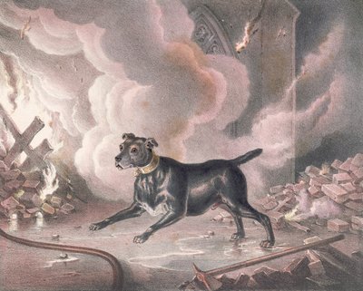 Il cane dei pompieri di Londra da William Heath