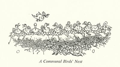 Un nido di uccelli comunale da William Heath Robinson