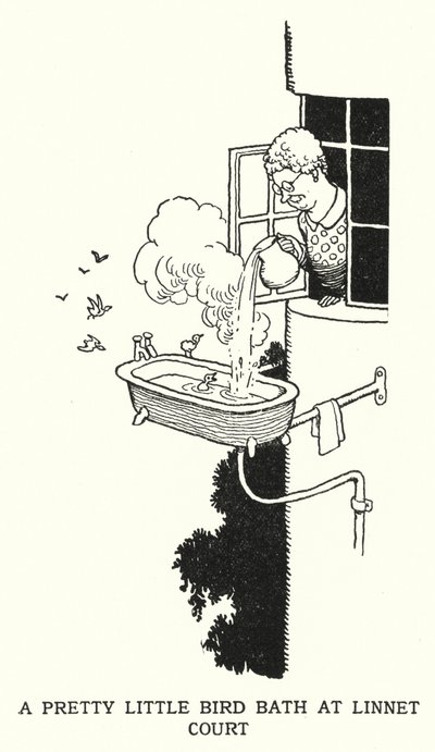 Un grazioso bagnetto per uccelli a Linnet Court da William Heath Robinson
