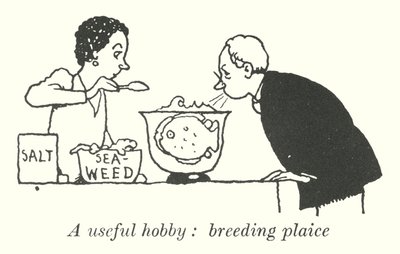 Un hobby utile, allevare sogliole da William Heath Robinson