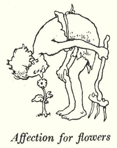 Affetto per i fiori da William Heath Robinson
