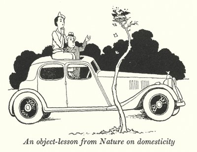 Una lezione dalla natura sulla domesticità (litografia) da William Heath Robinson