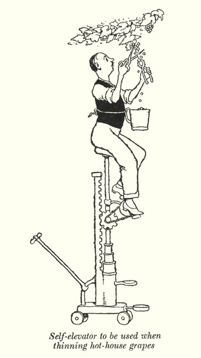 Elevatore automatico per diradare l