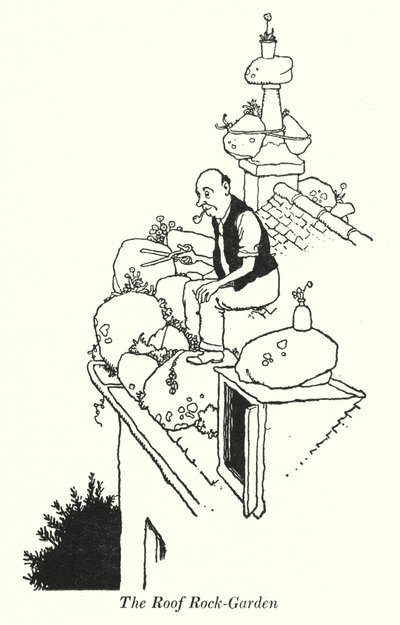 Il giardino roccioso sul tetto da William Heath Robinson