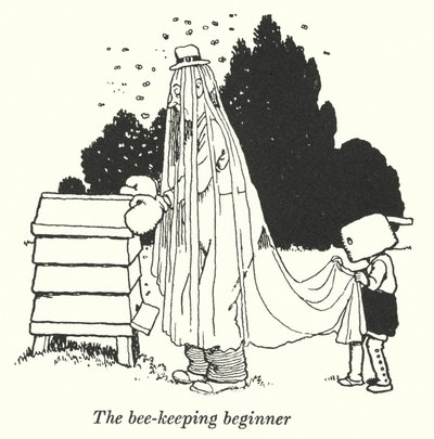 Il principiante dell