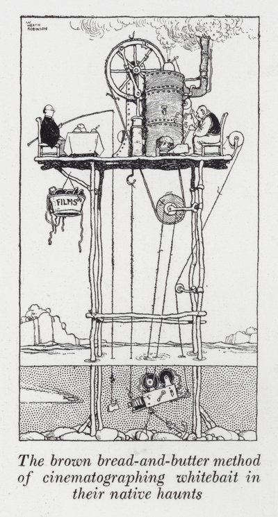 Il metodo del pane integrale e burro per cinematografare il bianchetto nei loro habitat naturali da William Heath Robinson