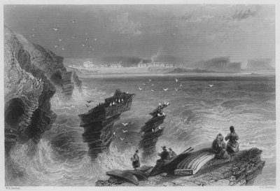 Kilkee, Contea di Clare da William Henry (after) Bartlett
