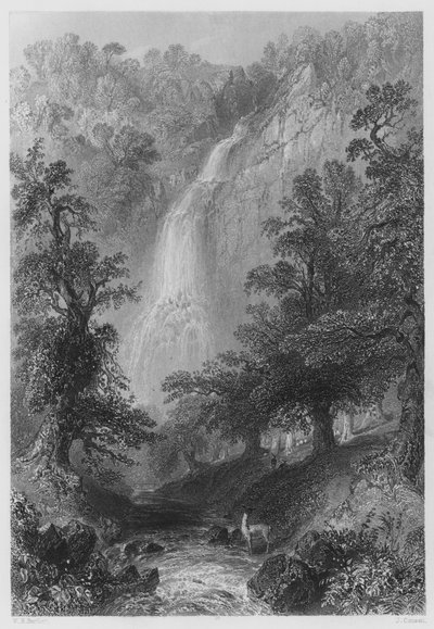 Cascata di Powerscourt da William Henry (after) Bartlett