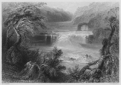 Salto del salmone a Leixlip (incisione) da William Henry (after) Bartlett