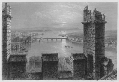Il fiume Shannon, dalla Torre della Cattedrale di Limerick da William Henry (after) Bartlett
