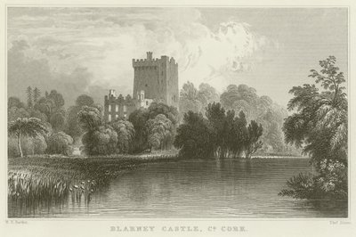 Castello di Blarney nella contea di Cork da William Henry Bartlett
