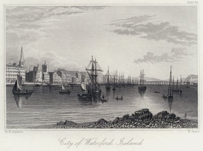 Città di Waterford, Irlanda da William Henry Bartlett