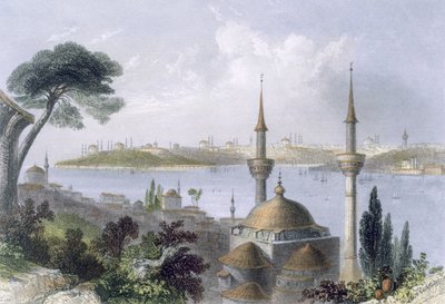 Veduta generale di Costantinopoli da Scutari da William Henry Bartlett