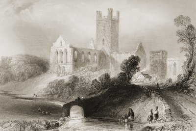 Abbazia di Jerpoint, Contea di Kilkenny, Irlanda, da 