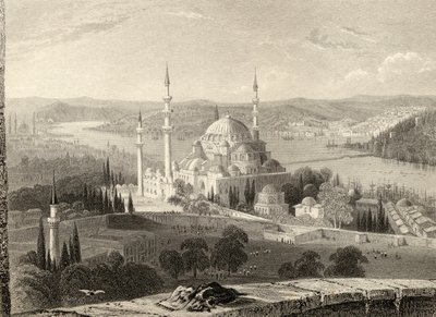 Moschea e tomba di Solimano, dalla Torre del Seraskier, Istanbul, Turchia, inciso da H. Adlard da William Henry Bartlett