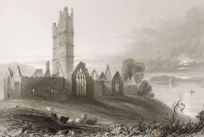 Abbazia di Moyne, Contea di Mayo, Irlanda, da 