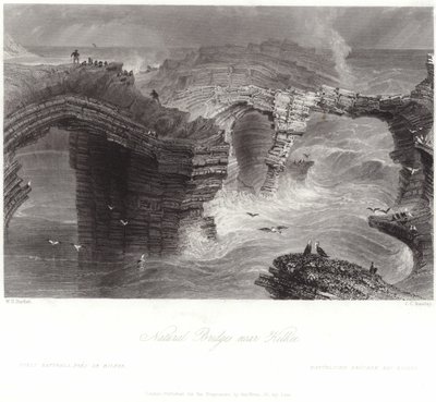 Ponti naturali vicino a Kilkee da William Henry Bartlett