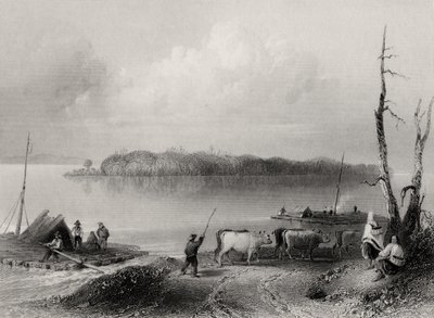Navy Island, fiume Niagara, Ontario, Canada, inciso da Charles Coulson (1815-89) da William Henry Bartlett