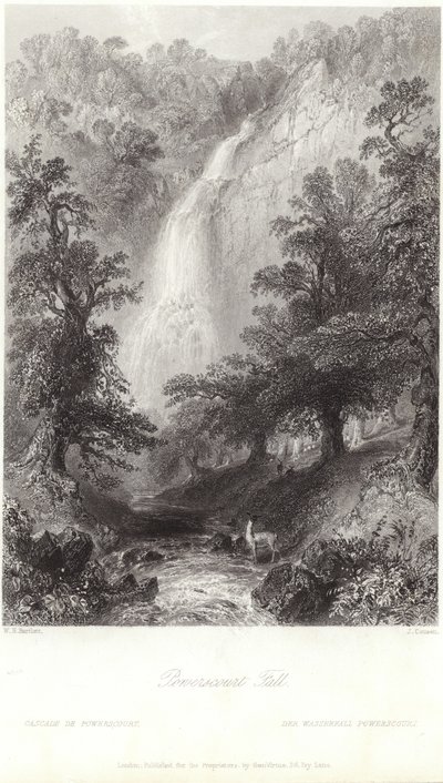 Cascata Powerscourt sul fiume Dargle da William Henry Bartlett