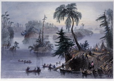 Scena tra le Mille Isole: Campo e Barche, Mille Isole - in "Canadian scenery illustrated" di Bartlett W. H. da William Henry Bartlett