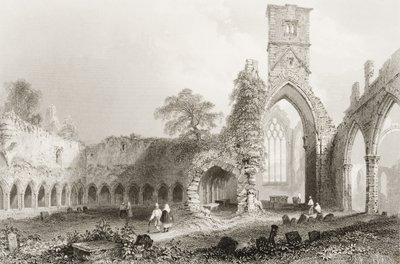 Abbazia di Sligo, Contea di Sligo, Irlanda, da 