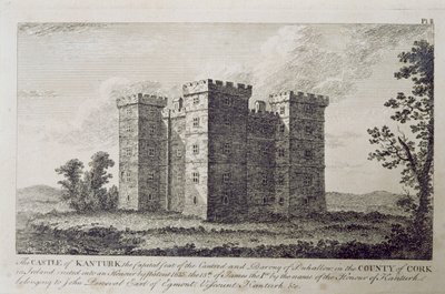 Il castello di Kanturk, contea di Cork, Irlanda nel 1800, da 