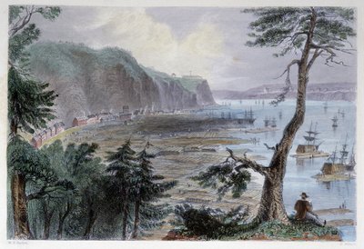 Deposito di legname vicino a Québec - in "Canadian scenery illustrated" di Bartlett W. H. da William Henry Bartlett