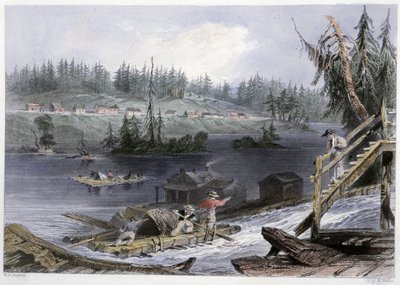 Trasporto del legno a "les Chats" - in "Canadian scenery illustrated" di Bartlett W. H. da William Henry Bartlett