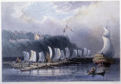 Trasporto del legname sul St Laurent a Cap Santé - in "Canadian scenery illustrated" di Bartlett W. H. da William Henry Bartlett