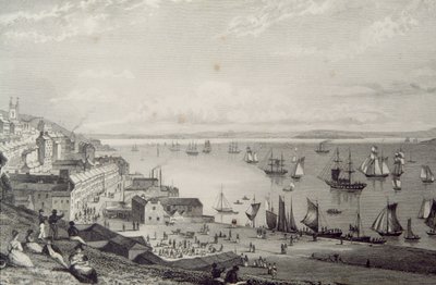 Veduta del porto di Cobh, verso Rostellan, Contea di Cork, Irlanda negli anni 1830, da 