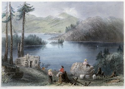 Vista del Lago e della Riva - in "Canadian scenery illustrated" di Bartlett W. H. da William Henry Bartlett