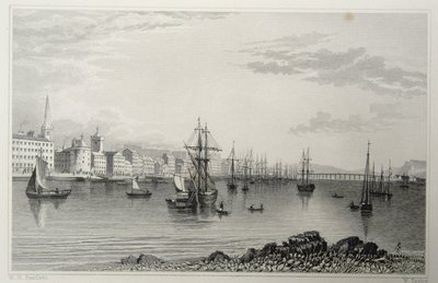 Waterford, Irlanda, inciso da W. Taylor da William Henry Bartlett
