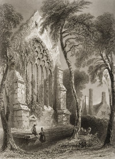 Abbazia di Youghal, Contea di Cork, Irlanda, da 