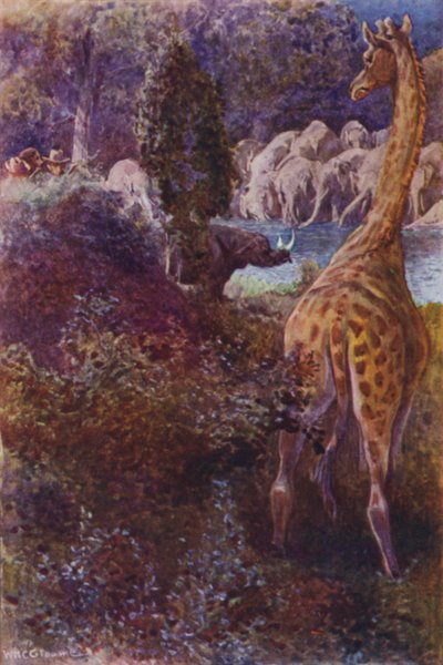 Illustrazione per The Gorilla Hunters di R M Ballantyne da William Henry Charles Groome