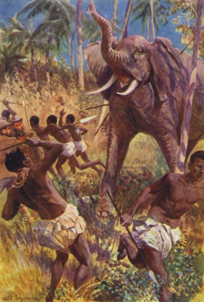 Illustrazione per I cacciatori di gorilla di R M Ballantyne da William Henry Charles Groome