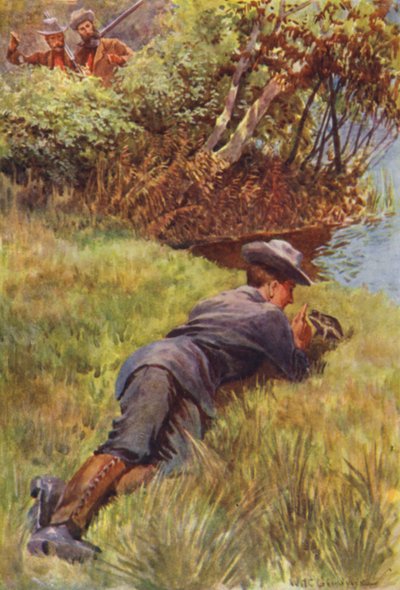 Illustrazione per The Gorilla Hunters di R M Ballantyne da William Henry Charles Groome