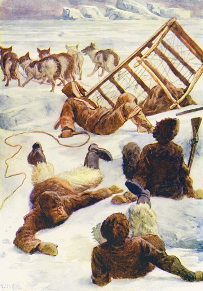 Illustrazione per Il Mondo del Ghiaccio o la Crociera di Caccia alla Balena del Delfino da William Henry Charles Groome