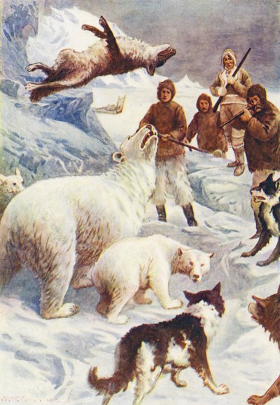 Illustrazione per Il mondo di ghiaccio o la crociera baleniera del Delfino (litografia a colori) da William Henry Charles Groome