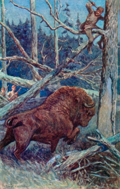 Il bisonte grattava il terreno nella sua rabbia da William Henry Charles Groome