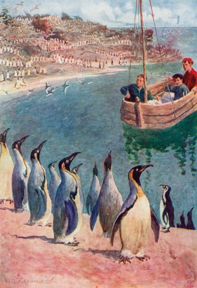 Guardavamo gli uccelli con sorpresa e piacere, loro ricambiavano il nostro sguardo con interesse da William Henry Charles Groome