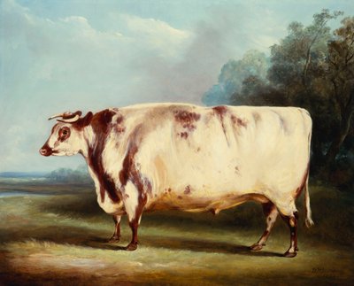 Un toro da premio da William Henry Davis