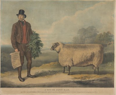 Un montone di South Down; 3 anni, allevato dal Sig. Thomas Crisp, Gedgrave Hall, Suffolk, per il quale è stato assegnato un premio di 30 sovrani alla riunione annuale della R.A.S. a Cambridge, 15 luglio 1840 da William Henry Davis