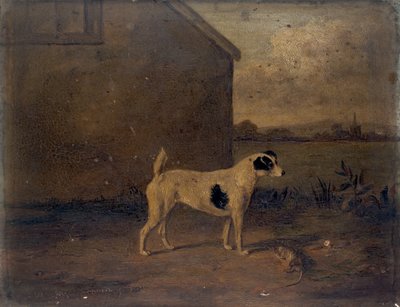 Waterloo Spot, 1816 da William Henry Davis
