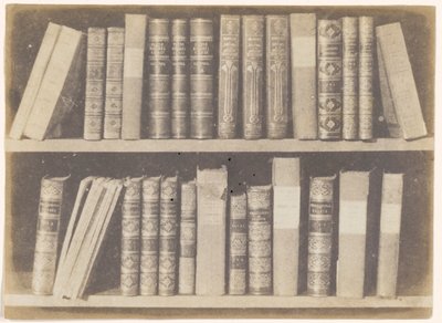 Una scena in una biblioteca, tavola VIII da The Pencil of Nature da William Henry Fox Talbot