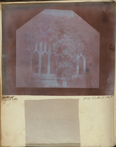 (dettaglio) del Chiostro dell
