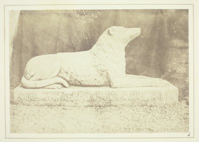 Effigie di Maida, il cane preferito di Sir W. Scott, a lato della porta del salone di Abbotsford da William Henry Fox Talbot