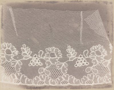 Merletto da William Henry Fox Talbot