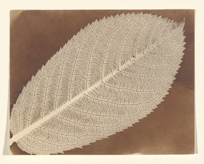  da William Henry Fox Talbot