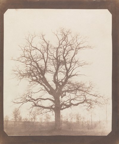  da William Henry Fox Talbot